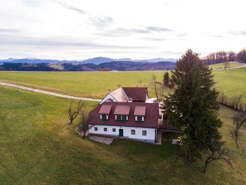 an aerial view of a large house in a field at Stein im Holz in Scheibbs