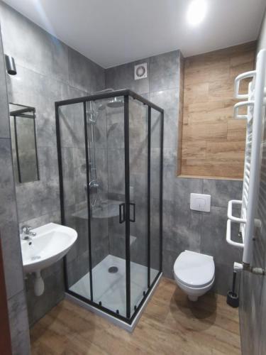 a bathroom with a shower and a toilet and a sink at Wysoka Fala in Jastrzębia Góra