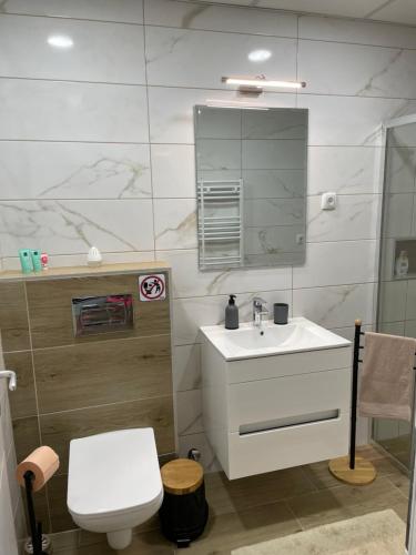 bagno con lavandino, servizi igienici e specchio di DREAM house a Paraćin