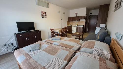 sala de estar con 2 camas y cocina en Apartmán Norika, en Podhájska