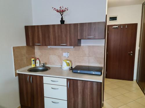 Kuchyň nebo kuchyňský kout v ubytování Apartmán Norika