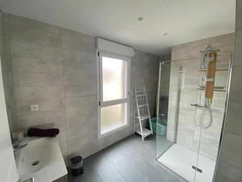 uma casa de banho com um chuveiro, um lavatório e uma janela em Appartement Orchidées proche centre Ville em Colmar