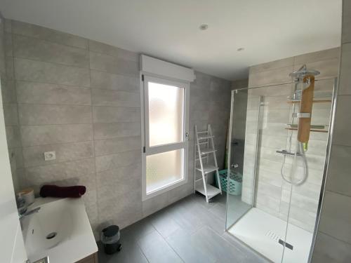 une salle de bain avec une douche et un lavabo et une fenêtre dans l'établissement Appartement Orchidées proche centre Ville, à Colmar