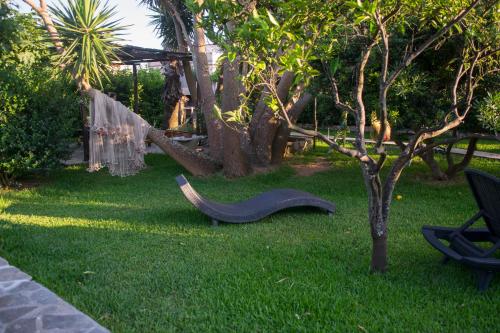 a black shoe laying in the grass next to a tree at TERRA DI MARE LOC. TURISTICA in Vignacastrisi