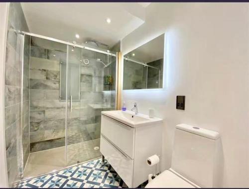 uma casa de banho com um chuveiro, um WC e um lavatório. em Plymouth Hoe - Stunning 2 Bedroom Lower Ground Floor Apartment em Plymouth