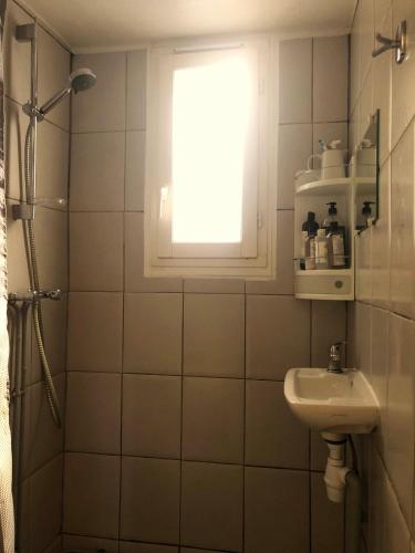 une salle de bain avec une douche et un lavabo et une fenêtre dans l'établissement Charming one bedroom apartment in Brive center, à Brive-la-Gaillarde