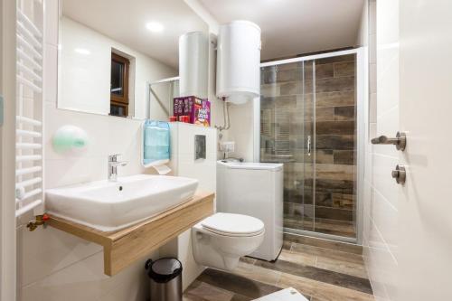 ズラティボールにあるTime Out Wine apartmanのトイレ、洗面台、シャワー付きのバスルーム