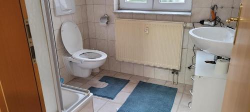 a bathroom with a toilet and a sink at Gästewohnung Kristall 3 in Salzwedel