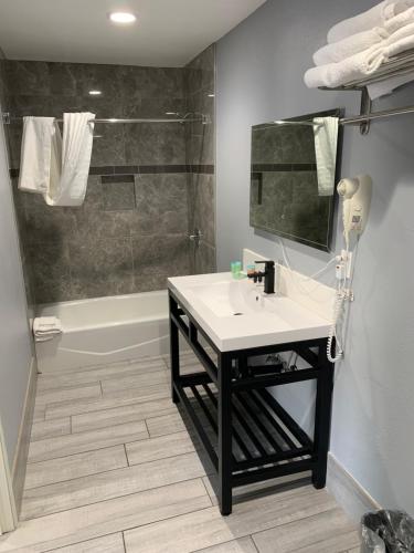 a bathroom with a sink and a shower at Willow Tree Inn & Suites in Sun Valley