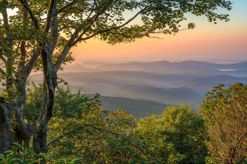 a view from the top of a mountain with trees at Little Bear Den in Asheville