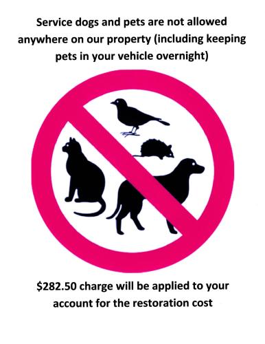 a sign that reads beware dogs and pets are not allowed anywhere on our at Holiday Motel in Sault Ste. Marie