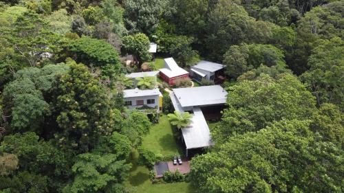 an aerial view of a house in the forest at Runawaytomaleny in Maleny
