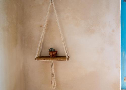 a potted plant on a shelf on a wall at Casa Nicté, hospédate en una casa del siglo XVIII in Campeche