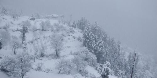 Pranav Homes - An idyllic abode with a picturesque view en invierno