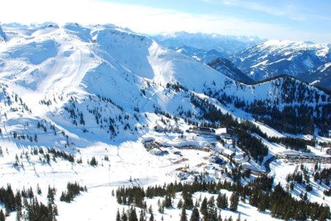 a snow covered mountain with trees and mountains at Tina a Petr , Lunz am See in Lunz am See