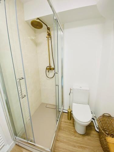 une salle de bain avec douche et toilettes dans l'établissement Vue mer et Garage privé, studio balcon plein Sud, à Wimereux