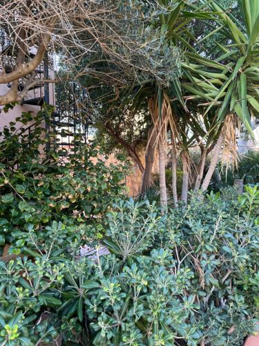 Ercole home – Photos 2