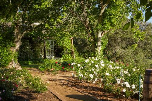 a garden with white and pink flowers and trees at The Devon Valley Hotel in Stellenbosch