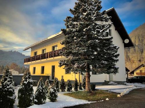 a large pine tree in front of a building at Löwenherz in Göstling an der Ybbs