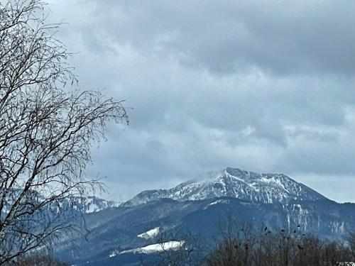 a mountain covered in snow on a cloudy day at Stylische Wohnung im Herzen von Bad Aibling in Bad Aibling