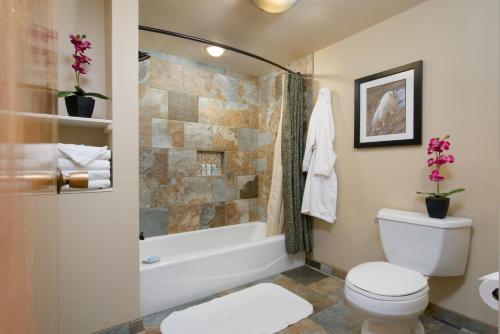 a bathroom with a toilet and a tub and a sink at The Rockwell Inn in Jackson