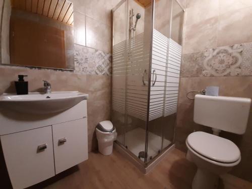 a bathroom with a shower and a toilet and a sink at Apartments Rupnik in Bovec