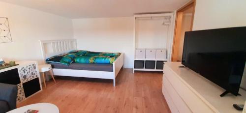 1 dormitorio con 1 cama y TV de pantalla plana en Ferienwohnung in Nesselwang, Allgäu Bergfreunde en Nesselwang