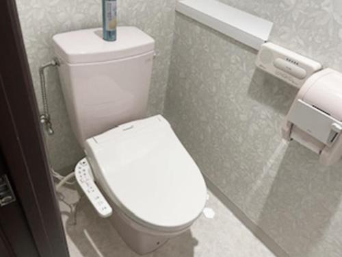 a bathroom with a white toilet in a stall at A-GATE HOTEL 旭川 -Asahikawa- in Asahikawa
