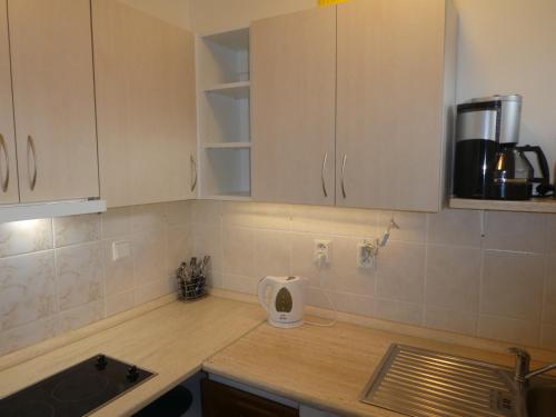 a kitchen with white cabinets and a counter top at Apartman Flora in Benecko