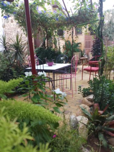 Zahrada ubytování Mystery Garden Guest House