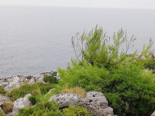 a hill with grass and rocks and the water at Dimora ideale SALENTO3 per coppia vista mare mozzafiato immersa nel verde per gli amanti della tranquilità in Alessano