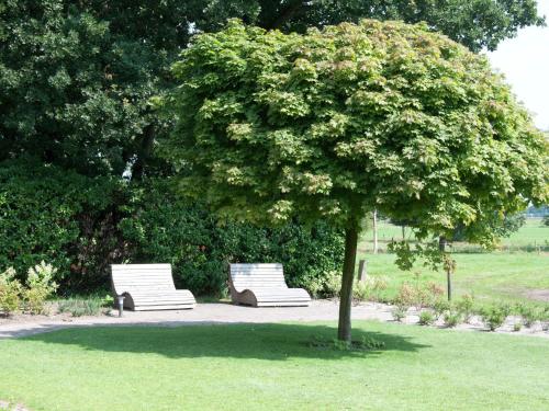 two white benches sitting under a tree in a park at Mansion in Nijensleek with Sauna & Garden in Nijensleek
