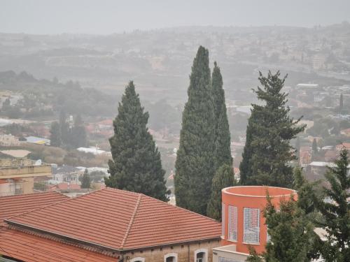 a group of four pine trees behind a building at SAMA Tarshiha in Ma'alot Tarshiha