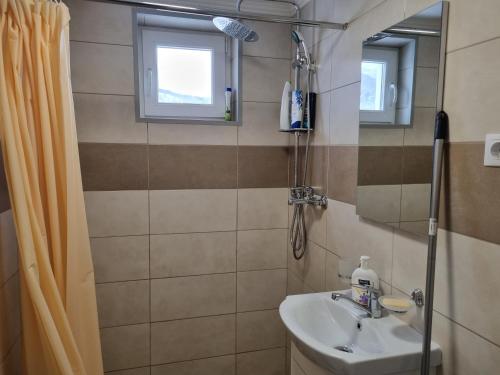 a bathroom with a sink and a shower at 11 RESIDENCE APARTMENT in Cavnic