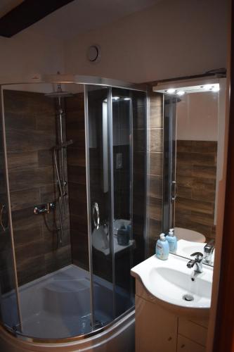 a bathroom with a shower and a sink at WILLA Jugowice in Jugowice