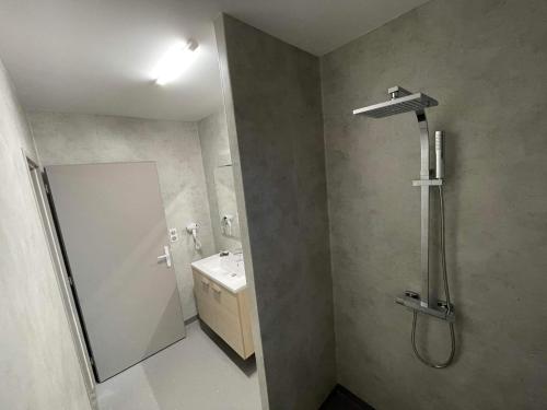 a bathroom with a shower and a sink at Hôtel MAAS in Montigny-le-Roi