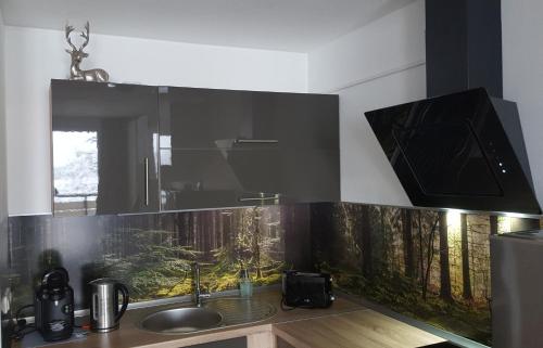 Кухня или мини-кухня в Ferienwohnung mit Blick in den Bayrischen Wald oberhalb von Sankt Engelmar
