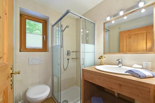 La salle de bains est pourvue d'une douche, d'un lavabo et de toilettes. dans l'établissement Birkenhof - Wohnung Ortler, à Sluderno