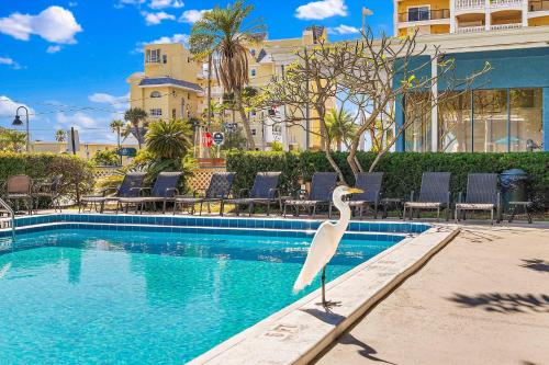 un pájaro blanco parado junto a una piscina en Malibu Resort Motel en St Pete Beach