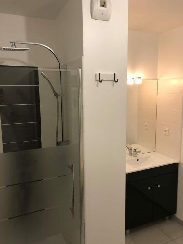une salle de bain avec douche et lavabo dans l'établissement Le Zambeze - Calme et spacieux - parking couvert, à Saint-Herblain