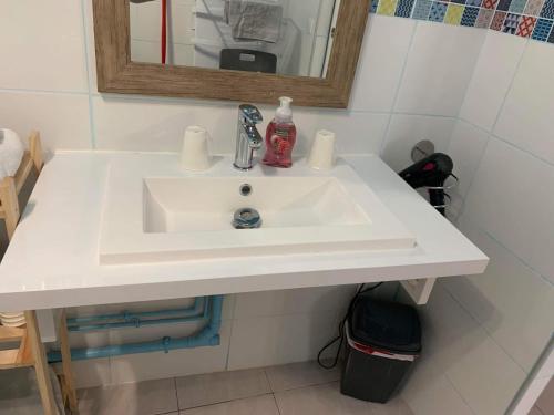 a white sink in a bathroom with a mirror at Auberge Saint Fergeux in Gionges