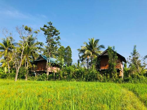 duas cabanas num campo ao lado de um campo de relva em Sigiriya Paddy Field Hut em Sigiriya