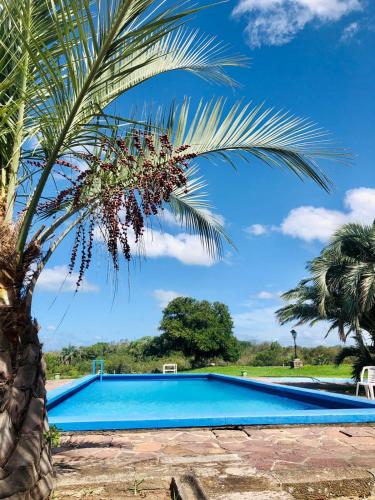 a palm tree next to a blue swimming pool at Hosteria Fortin de San Miguel in Chuy