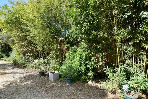 een tuin met potplanten aan de kant van een weg bij Moulin Rose, Parking - Jardin in Arles