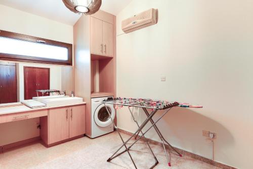 a laundry room with a sink and a washing machine at Alkistias & Konstantinos Villa in Lachi