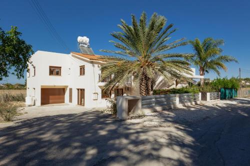 a white house with a palm tree in front of it at Alkistias & Konstantinos Villa in Lachi