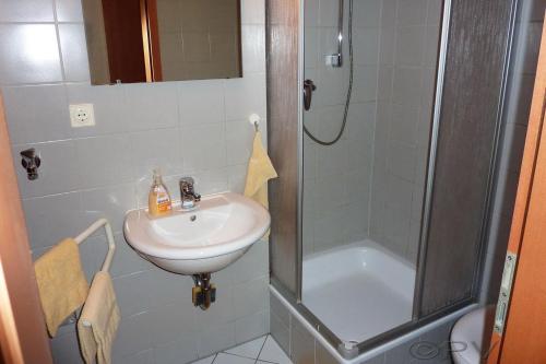 德勒斯登的住宿－Laurin Apartment L63，一间带水槽和淋浴的浴室