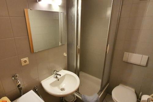 een badkamer met een wastafel, een douche en een toilet bij Laurin Apartment L65 in Dresden
