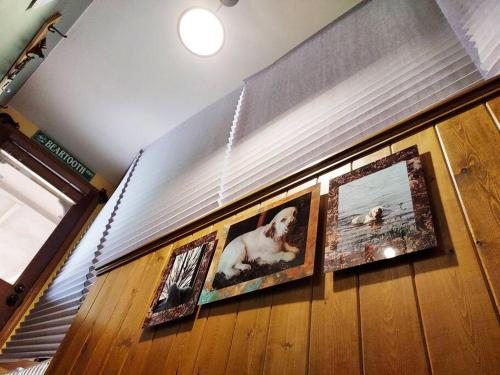 a group of pictures hanging on a wall at Swan Mountain View-Private Basement Suite/10 acres in Kalispell