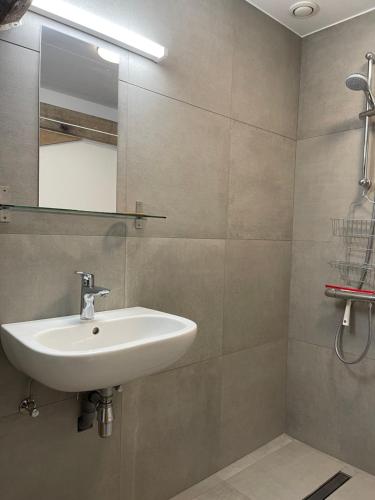 a bathroom with a sink and a mirror at Parel van Bever - Perle de Biévène in Bever